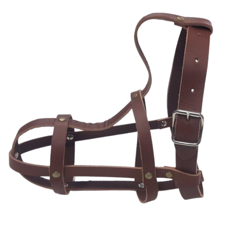 Dog Muzzle Leather Solo